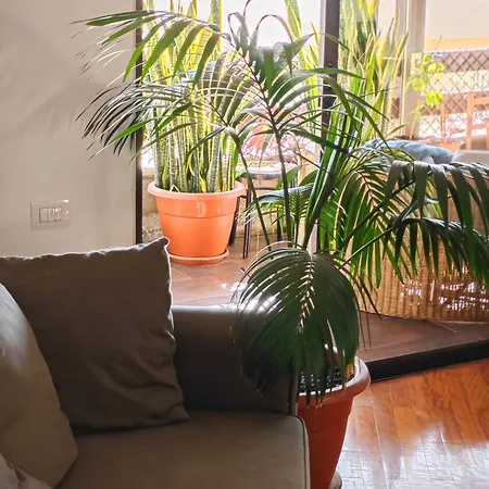 Casa Compartida Weyler Bed & Breakfast *
