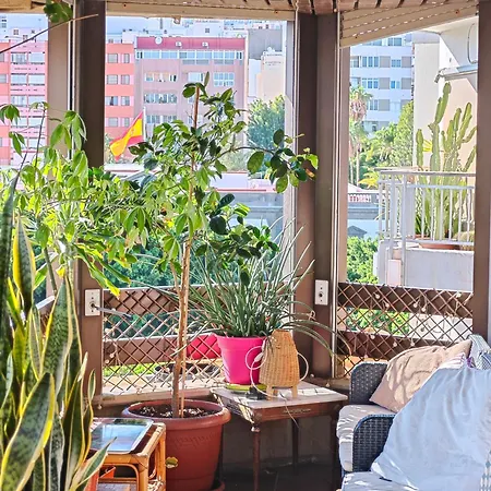 Casa Compartida Weyler Bed & Breakfast Santa Cruz de Tenerife